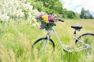 biking plymouth mi parks