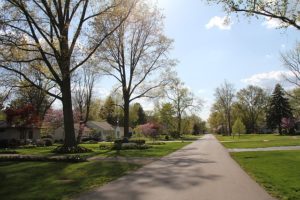 Peaceful suburban neighborhood.