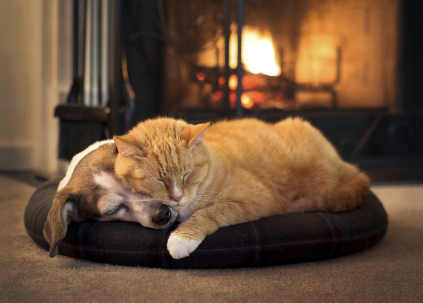 cozy fireside
