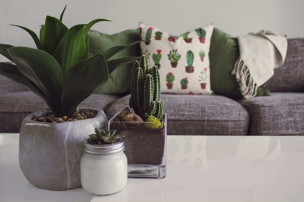 A living room with plants on the table.